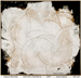Duayne Hatchett Image
